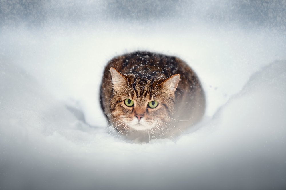 Photograph by Владислава Протащик