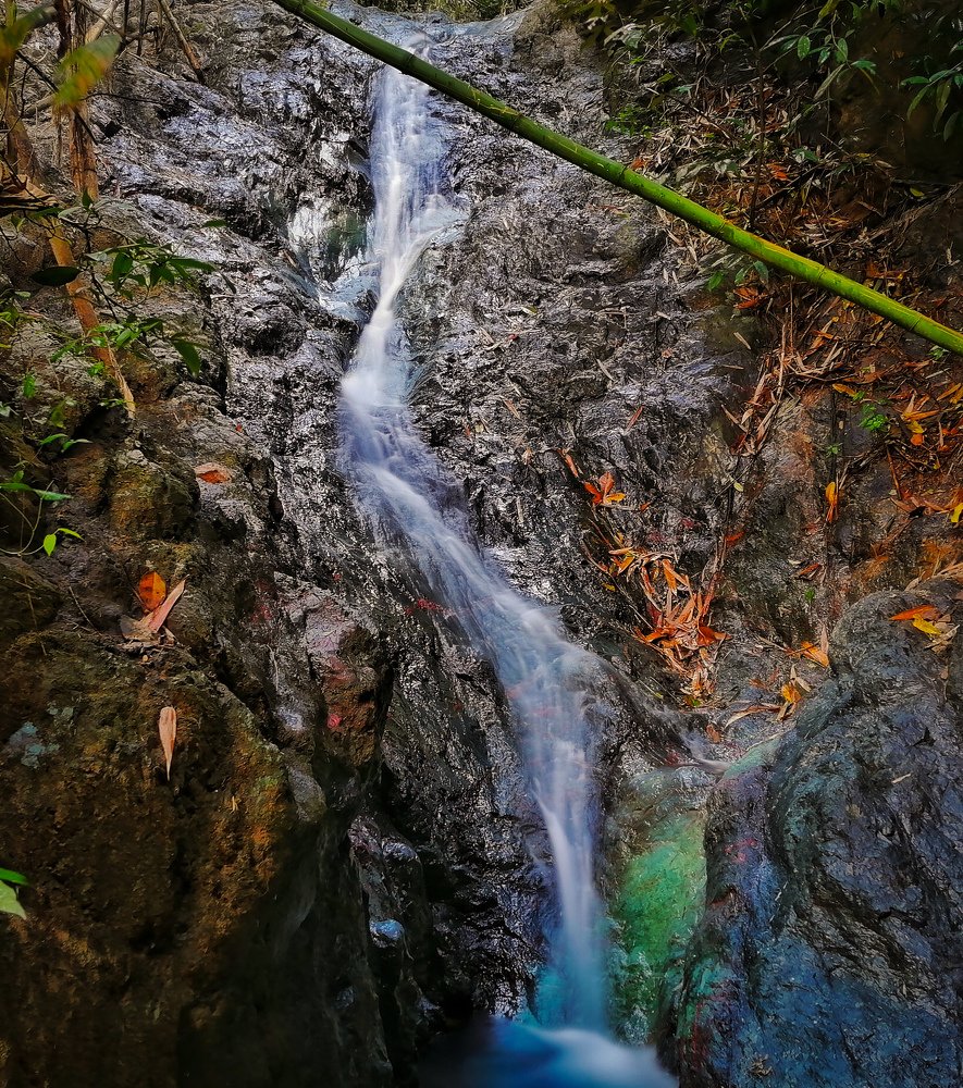 Photograph by Chris Codoy