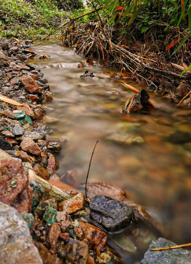 Photograph by Chris Codoy