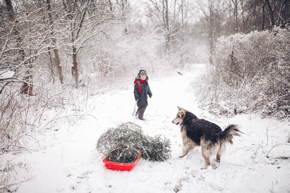 Photograph by Анна Фолимонова