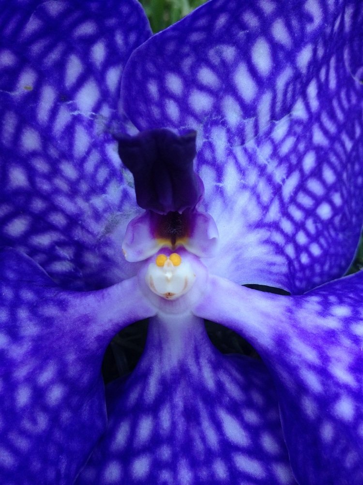 Фотография автора Anastasia Love