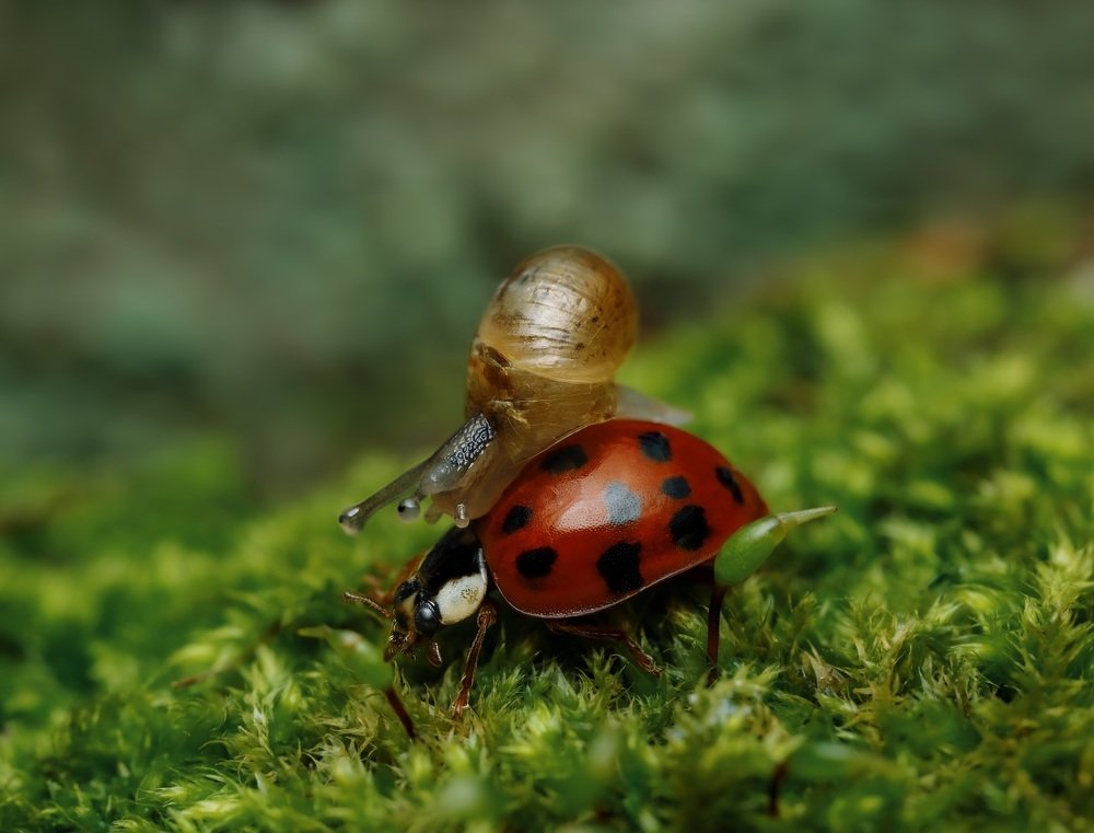 Фотография автора Dolli Pogrebnaya