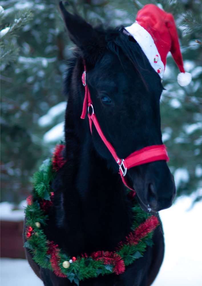 Photograph by Антонина Копытина