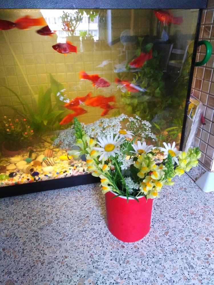 Photograph by Татьяна Ситникова