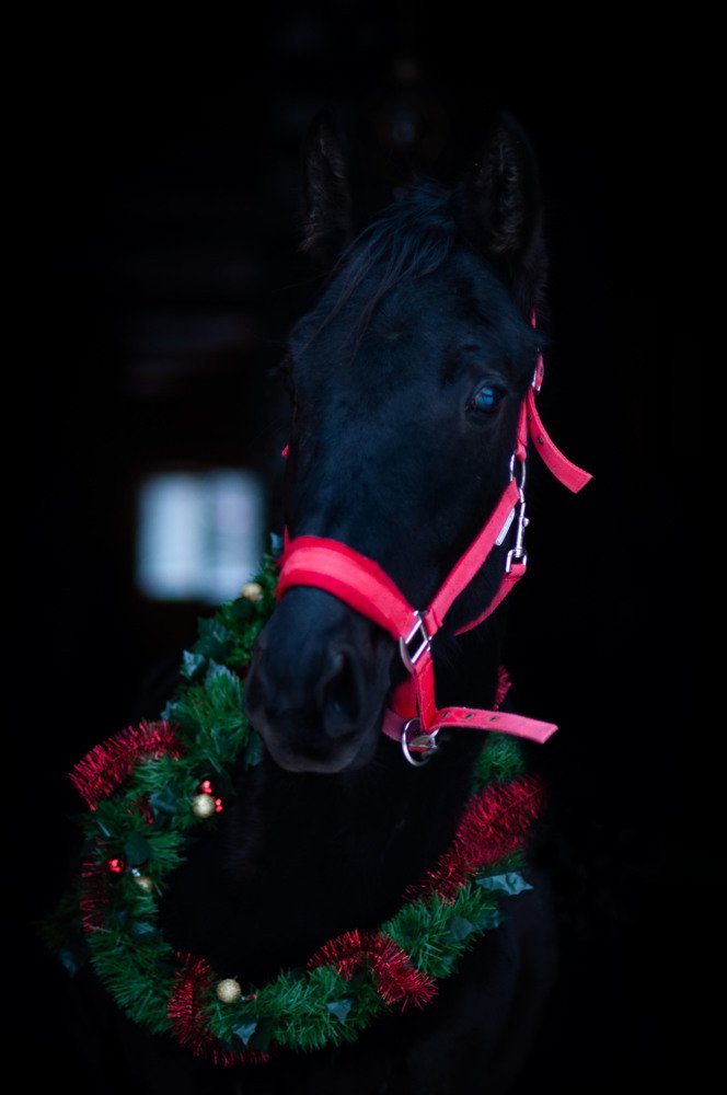 Photograph by Антонина Копытина