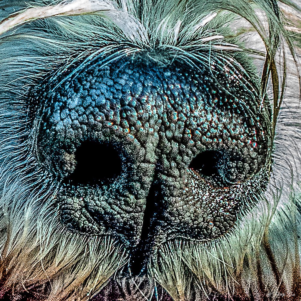 Photograph by Ja Flup