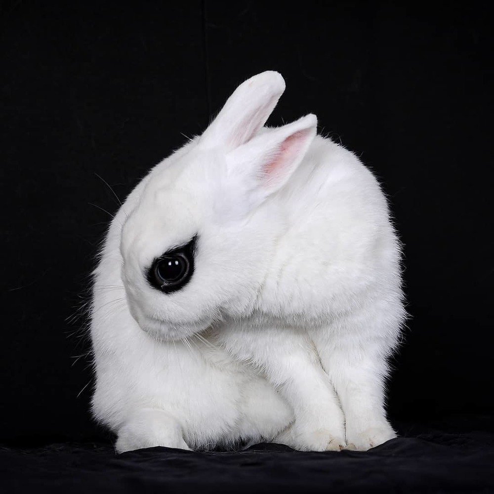 Photograph by Антонина Копытина