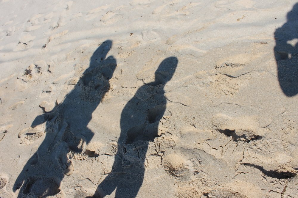 Photograph by Francisco Ferreira