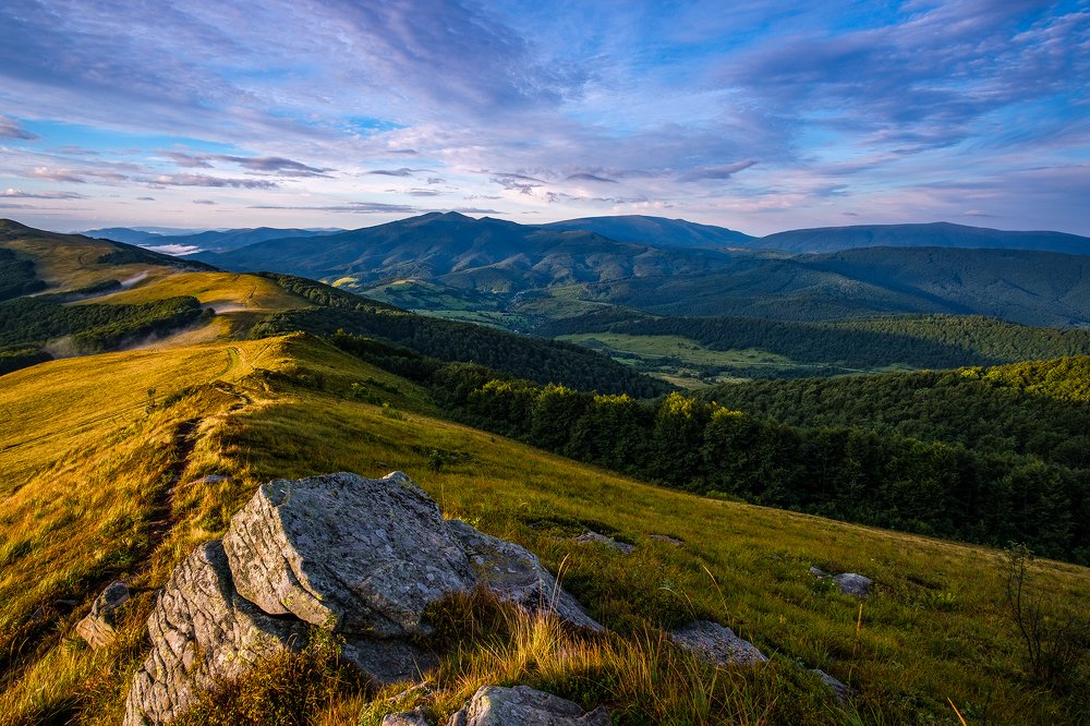 Холодное летнее утро.