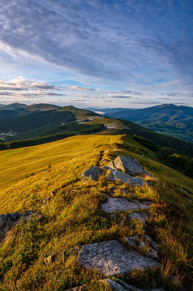 Уходя вдаль...