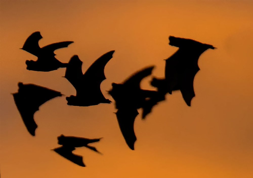 Фотография автора andrey gagarin