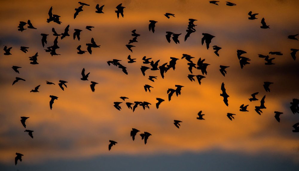 Фотография автора andrey gagarin