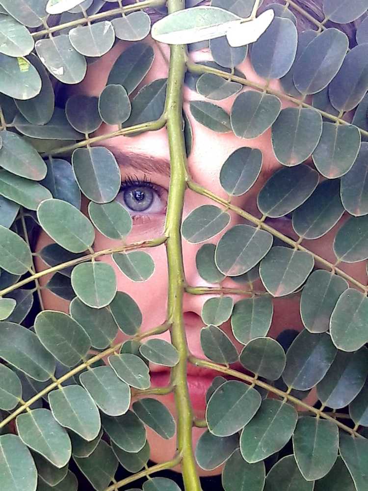 Photograph by Régis Santos