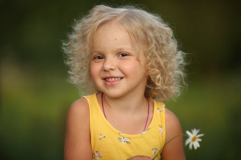 одуванчик /dandelion