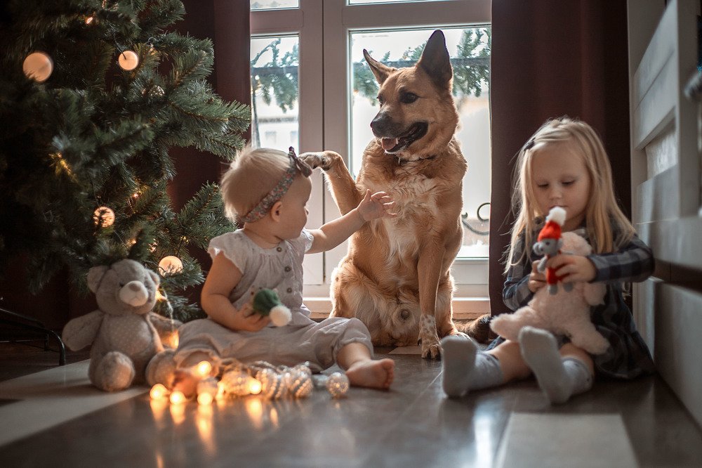 Photograph by Вероника Голованова