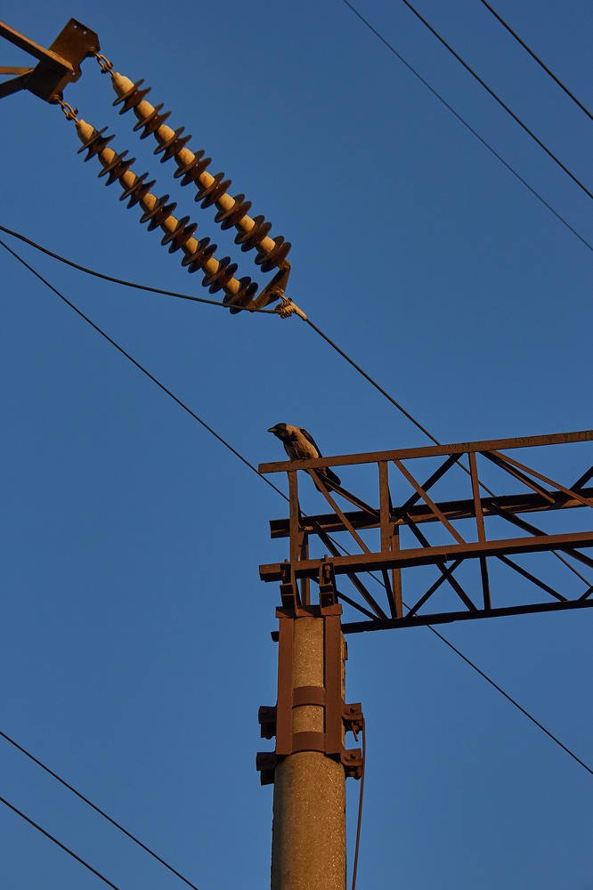 Photograph by Марат Юнусов