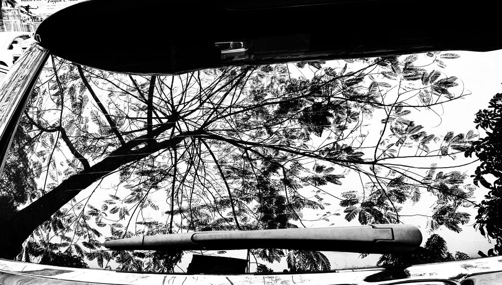 Photograph by son dam minh