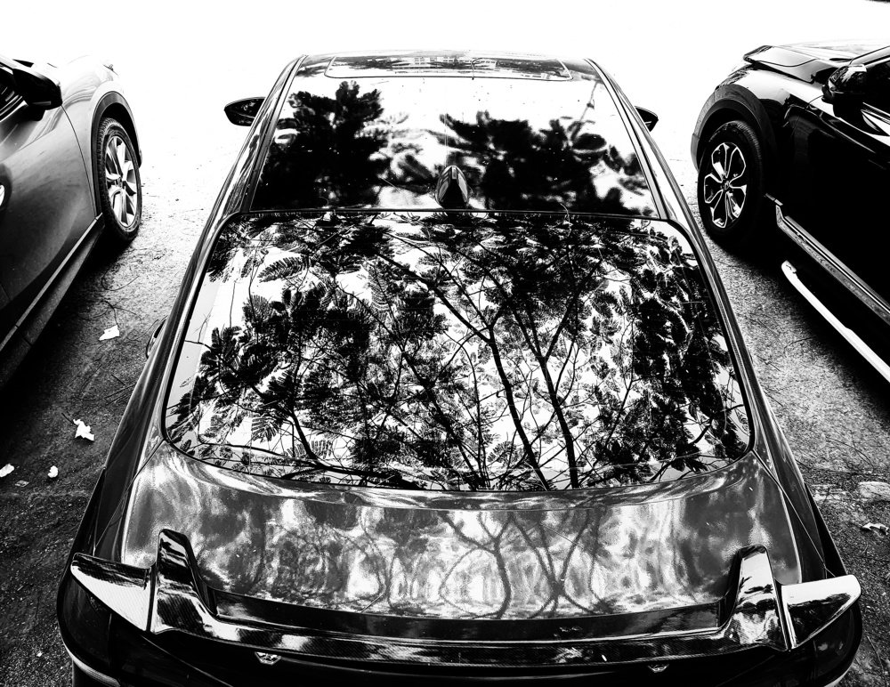 Photograph by son dam minh