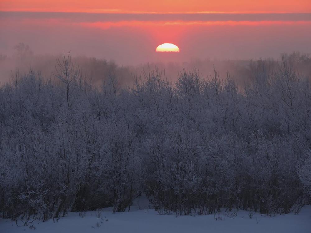Photograph by Надежда Махина