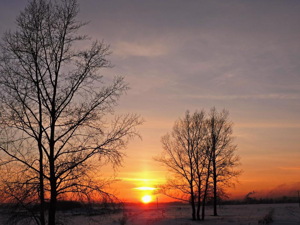 Photograph by Надежда Махина