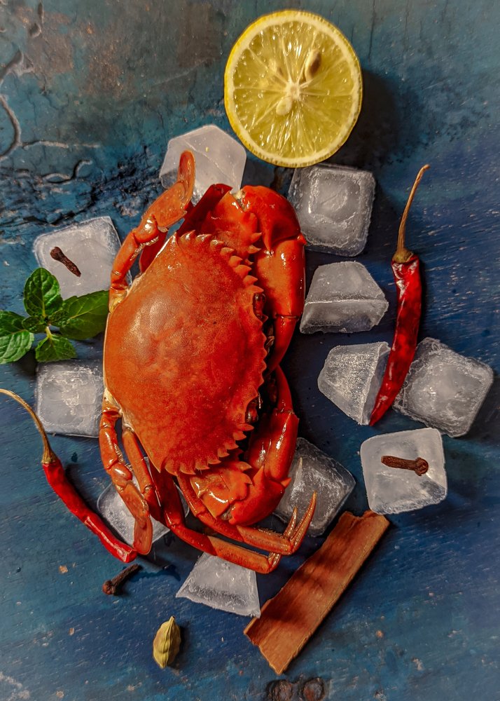 Photograph by Bistupada Mondal