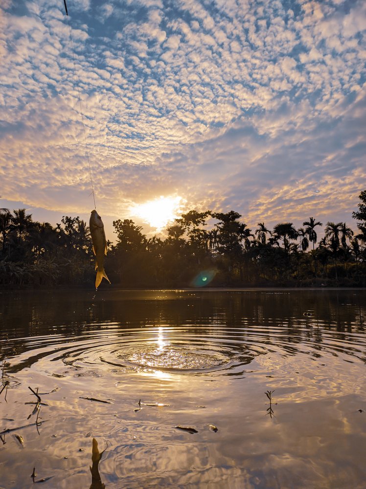 Photograph by Bistupada Mondal