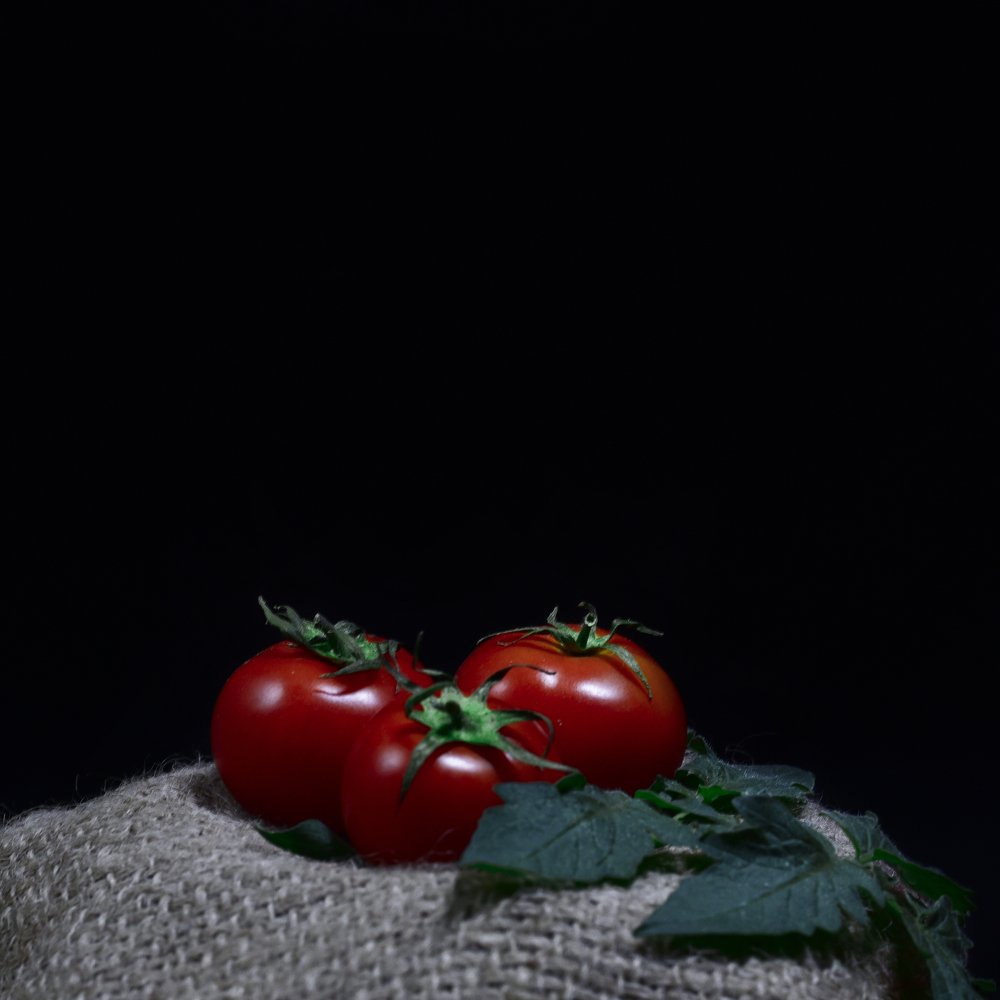 Photograph by Bistupada Mondal