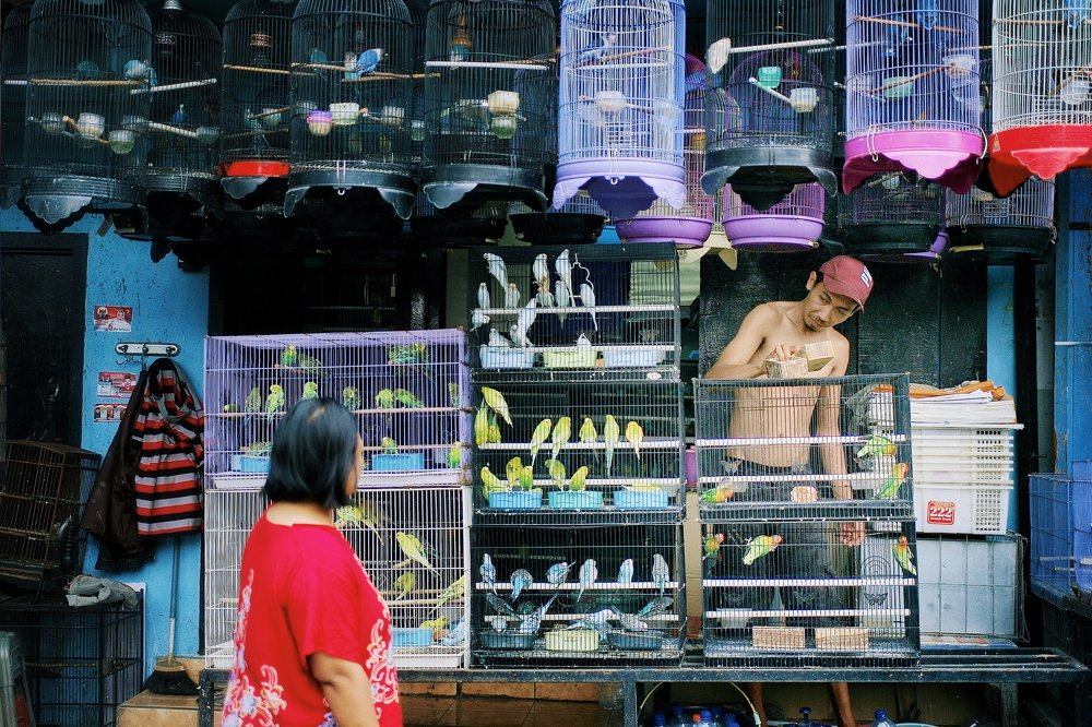 Photograph by Wira Harjanto Mishael