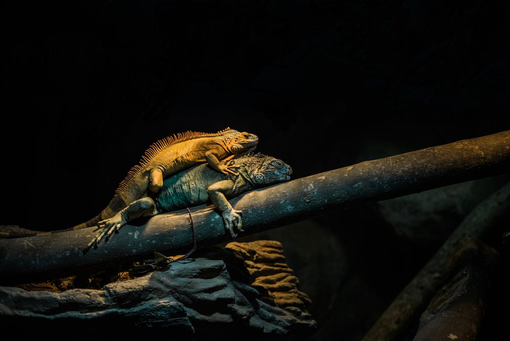 Photograph by Wira Harjanto Mishael