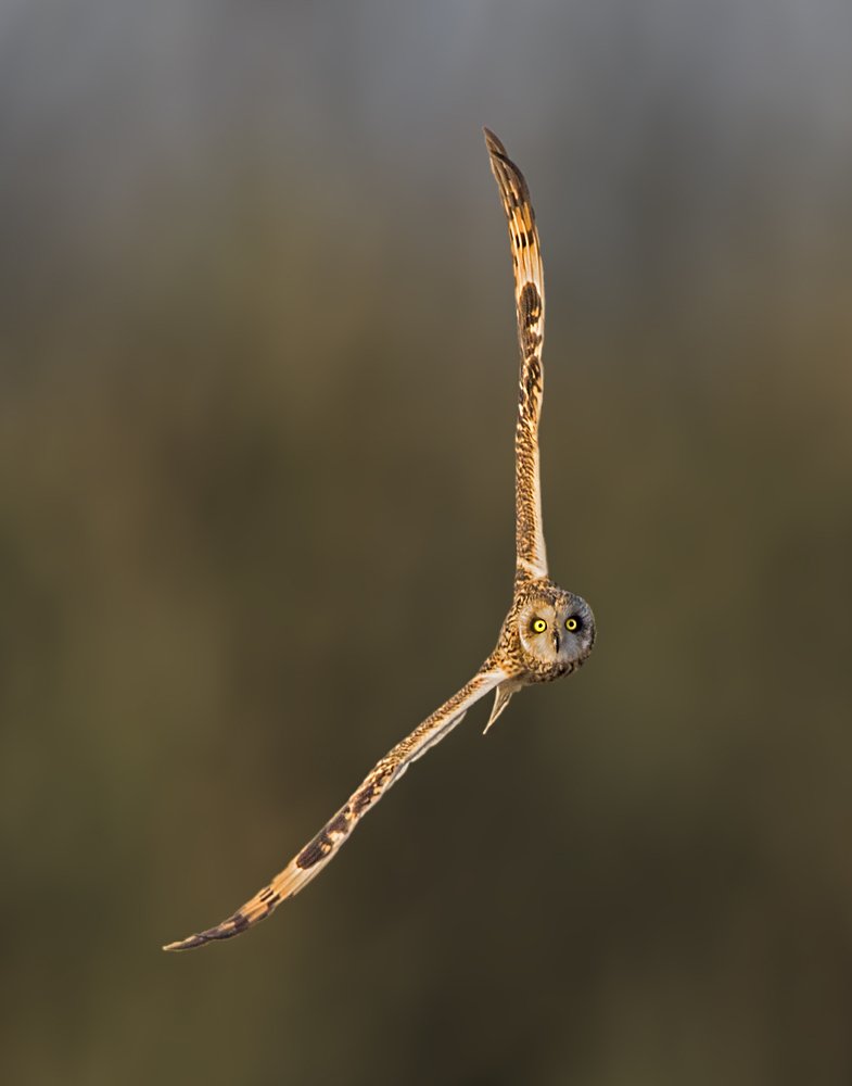 IT'S MY CLOCK, MY TIME.