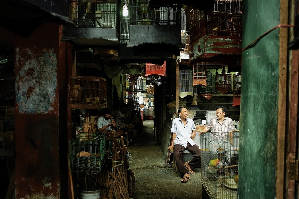 Photograph by Wira Harjanto Mishael