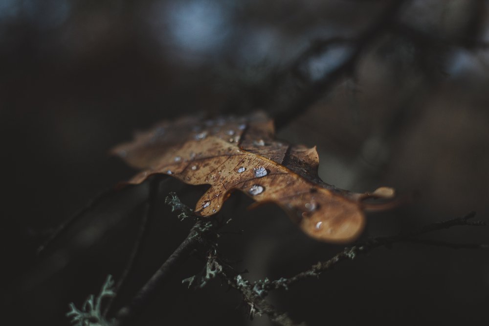 Photograph by Роман