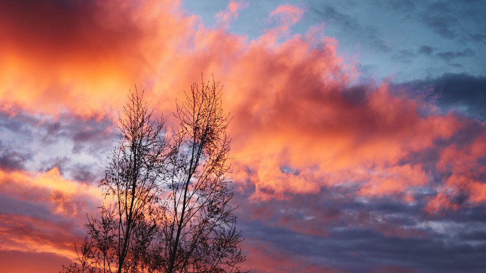Фотография автора Дмитрий Земсков