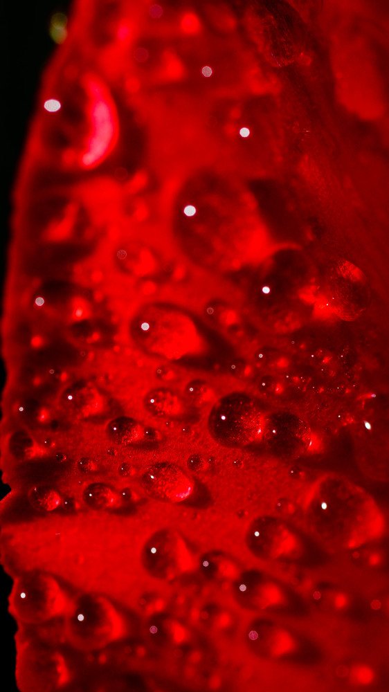 Фотография автора Дмитрий Земсков