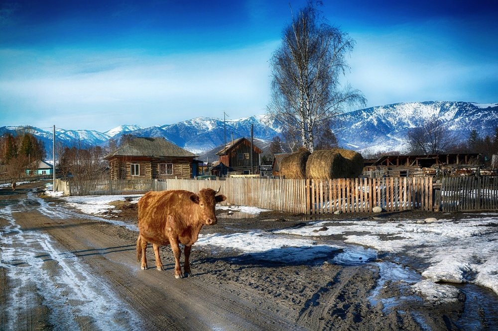 Photograph by Андрей Ныриков