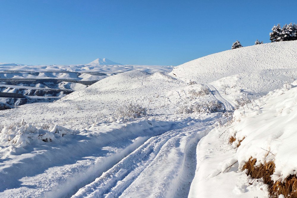 Photograph by SIARHEI RABCHONAK