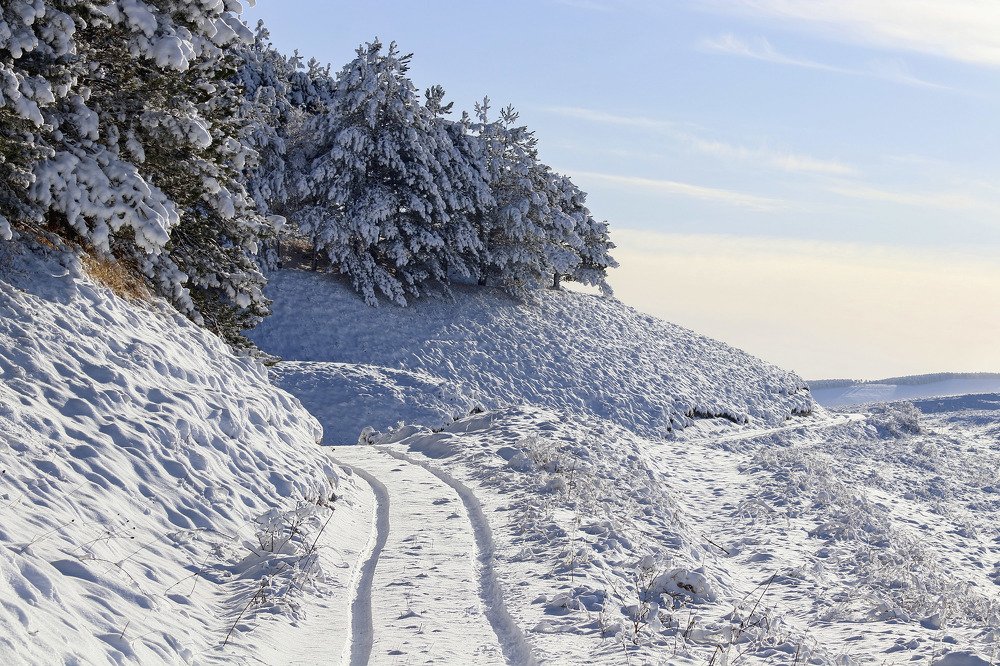 Photograph by SIARHEI RABCHONAK