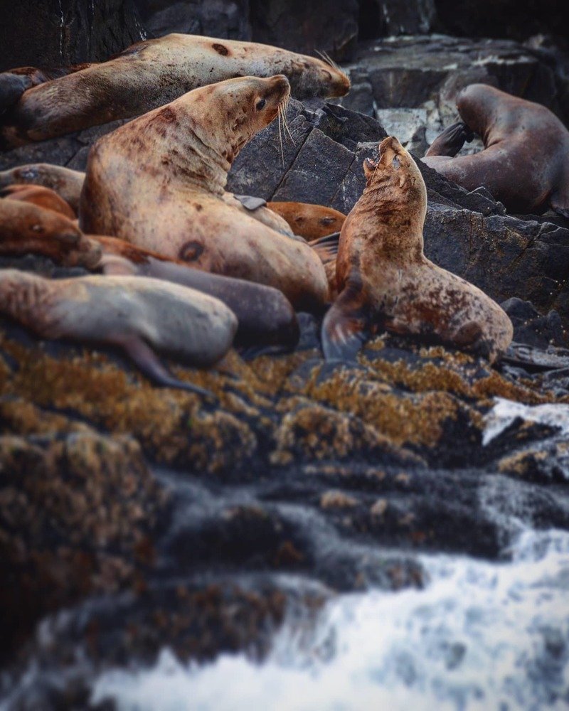 Семейный быт