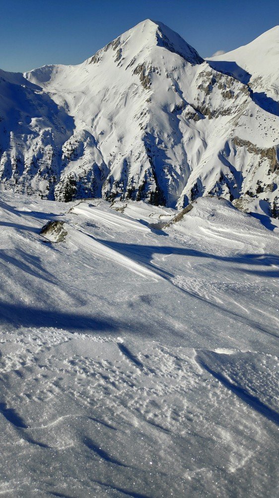 Photo #5528016