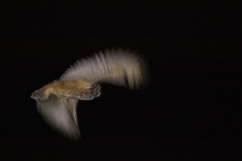 Photograph by Kalyan Chakraborty