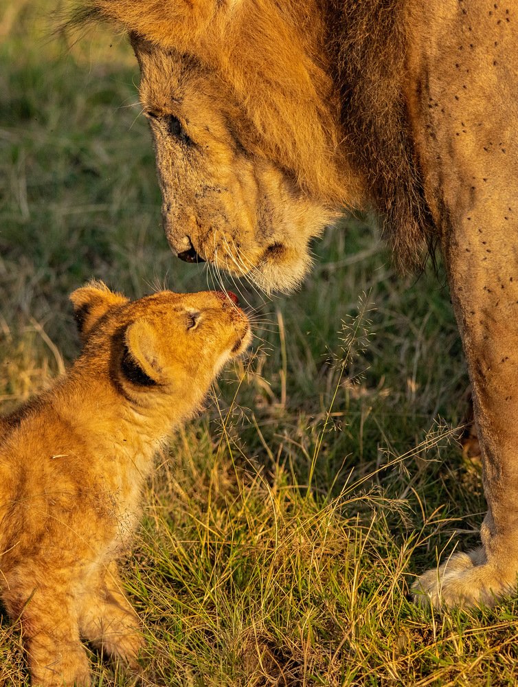 Photograph by Kalyan Chakraborty