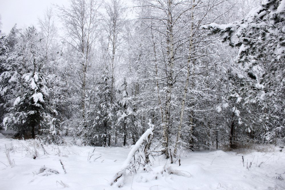 Зимняя тишина.