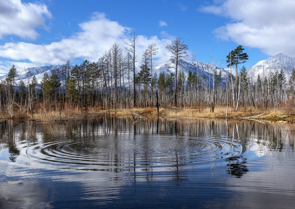 Photograph by Алексей Трофимов