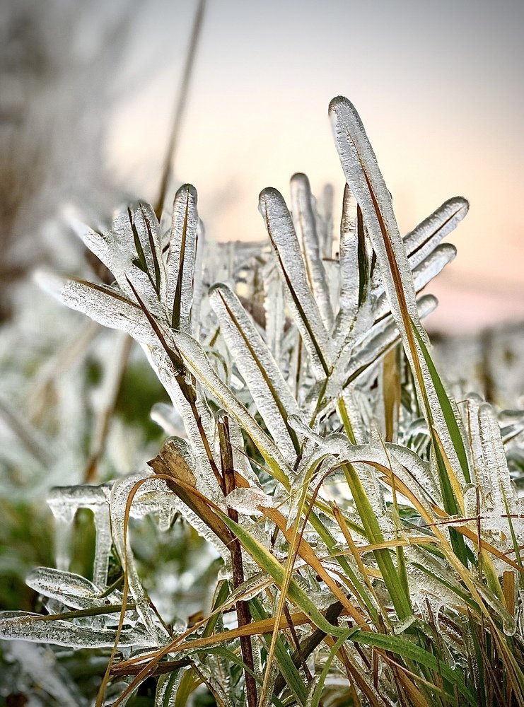 Photograph by Анна Адаменко