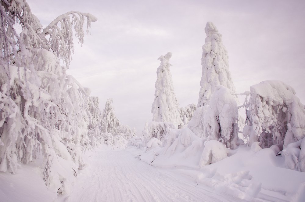 Photograph by Иван Волк