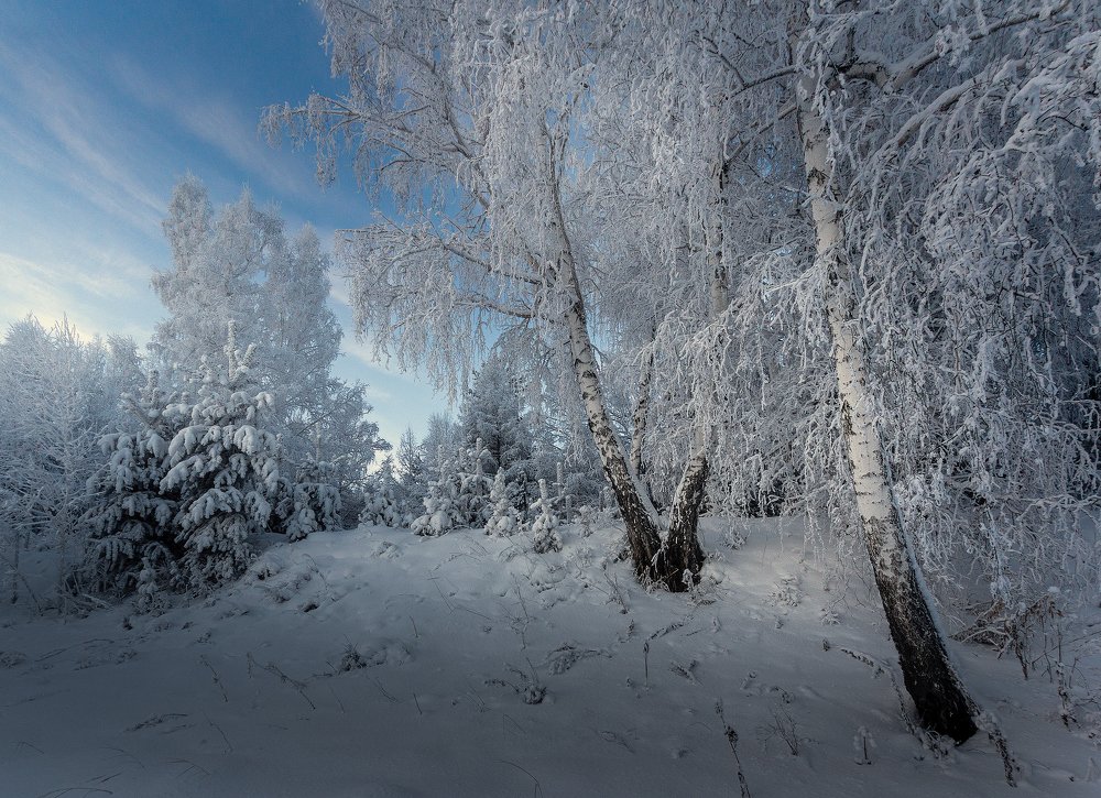 Photograph by Алексей Трофимов