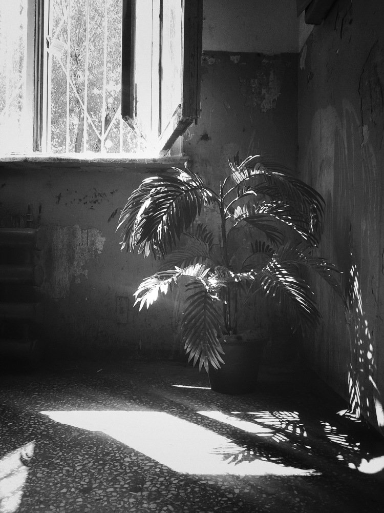 В грязной парадной | In the dirty front door