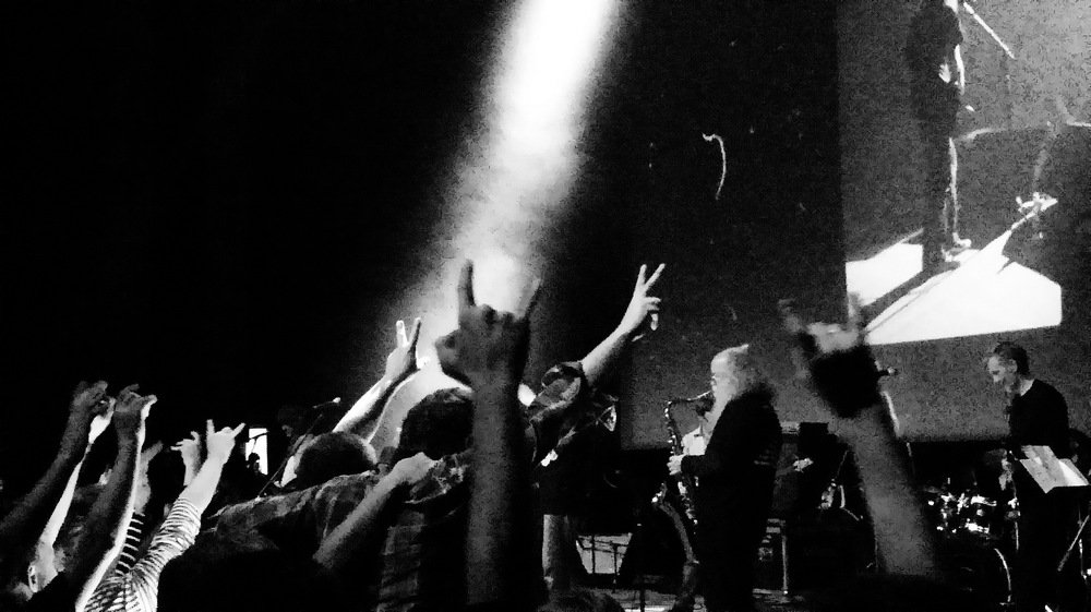 Панки живы! | Punks not dead!