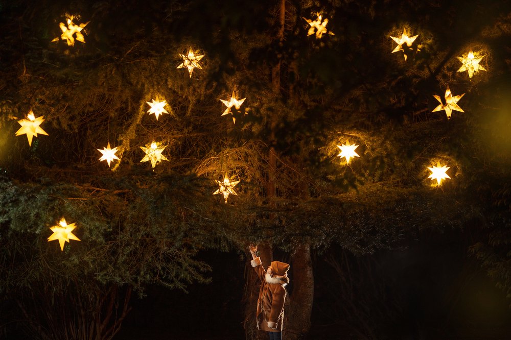 Photograph by Татьяна Зорина