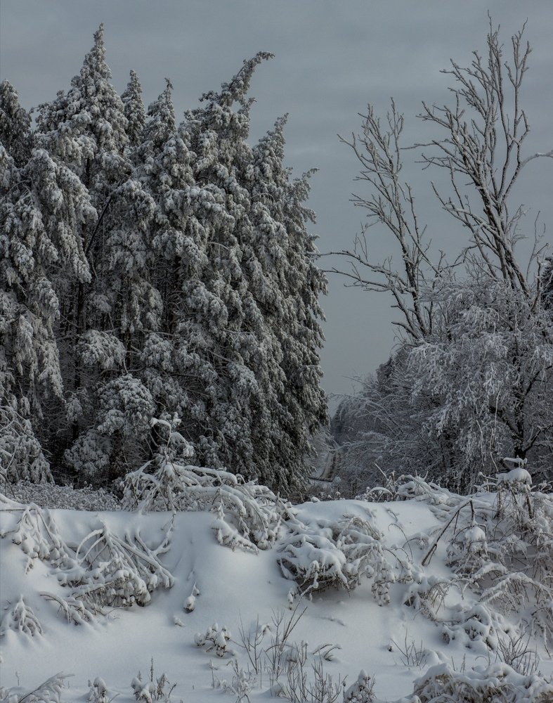 Photograph by Евгений Аношин